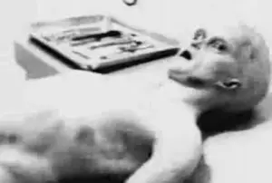 alien autopsy