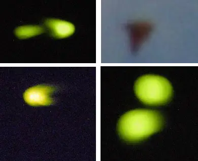Australia UFOs