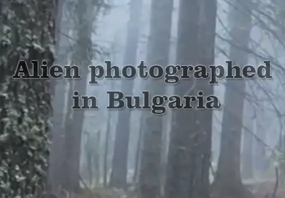 Bulgaria Alien