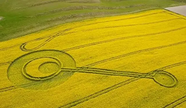 2017-crop-circle