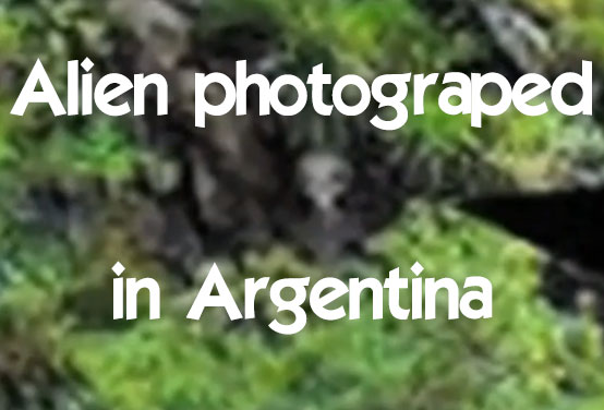 alien in argentina