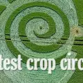 crop circles