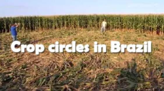 Brazil crop circles