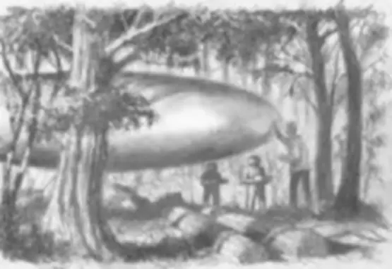 Gary Wilcox UFO