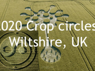 2020-crop-circles