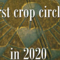 2020-crop-circles