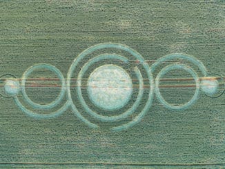 crop circle 2020