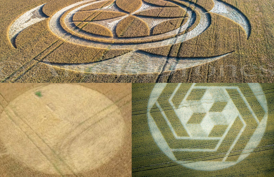 latest-crop-circles