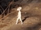 alien-photographed