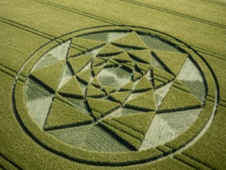 2021-crop-circles