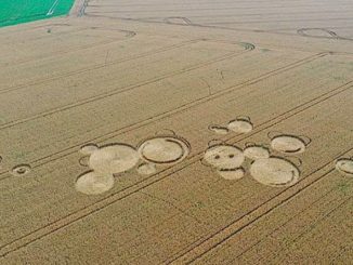 poland crop circles