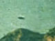 flying-saucer-1966