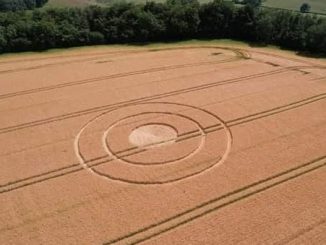 crop circles 2023 UK