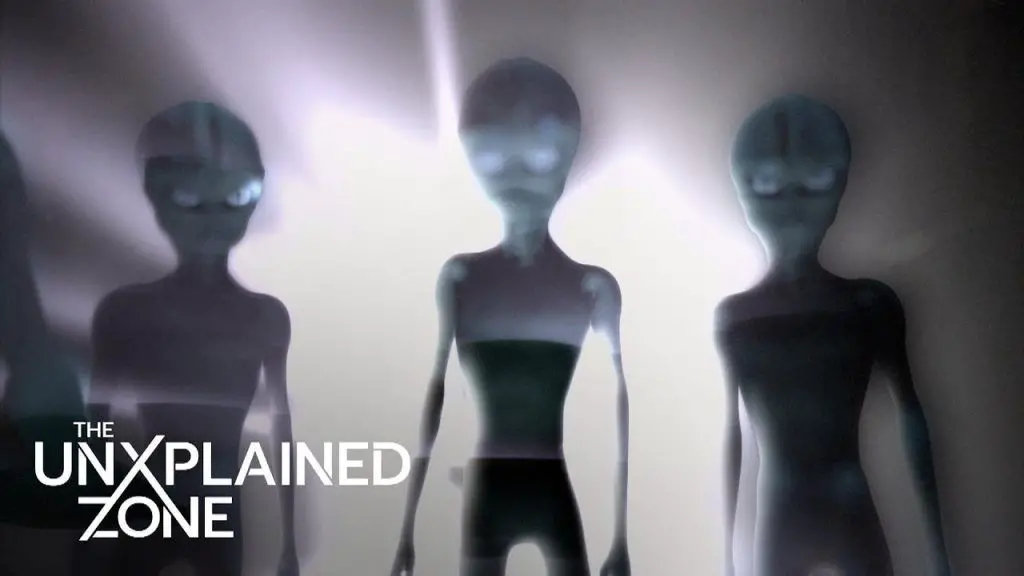 Woman Abducted by Reptilian Alien