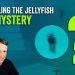 Jellyfish UAP